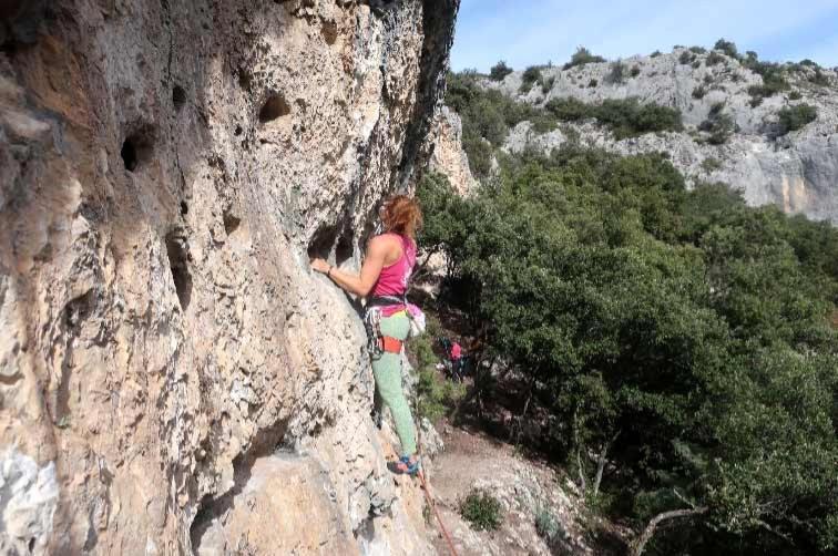 Entre Vignes Et Collines *