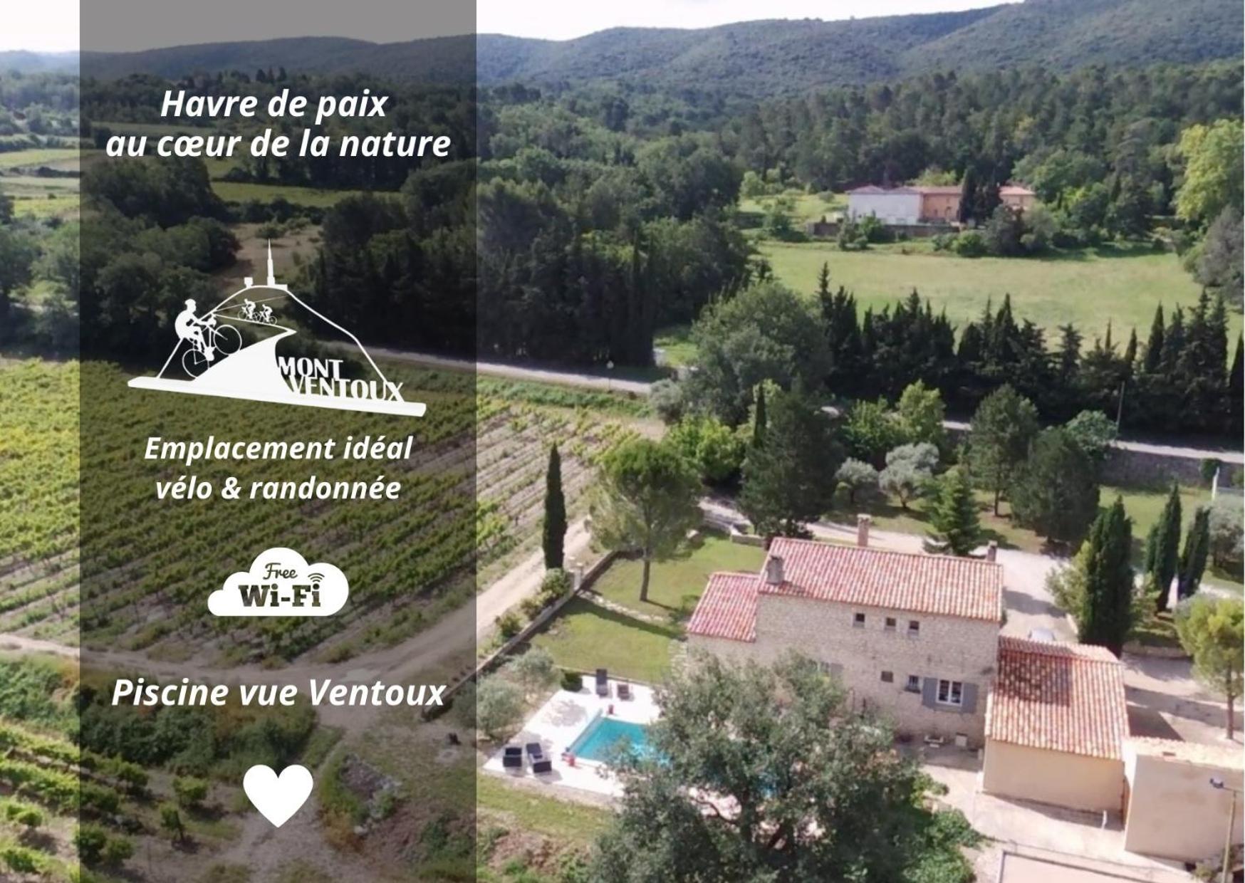 Entre Vignes Et Collines * Methamis