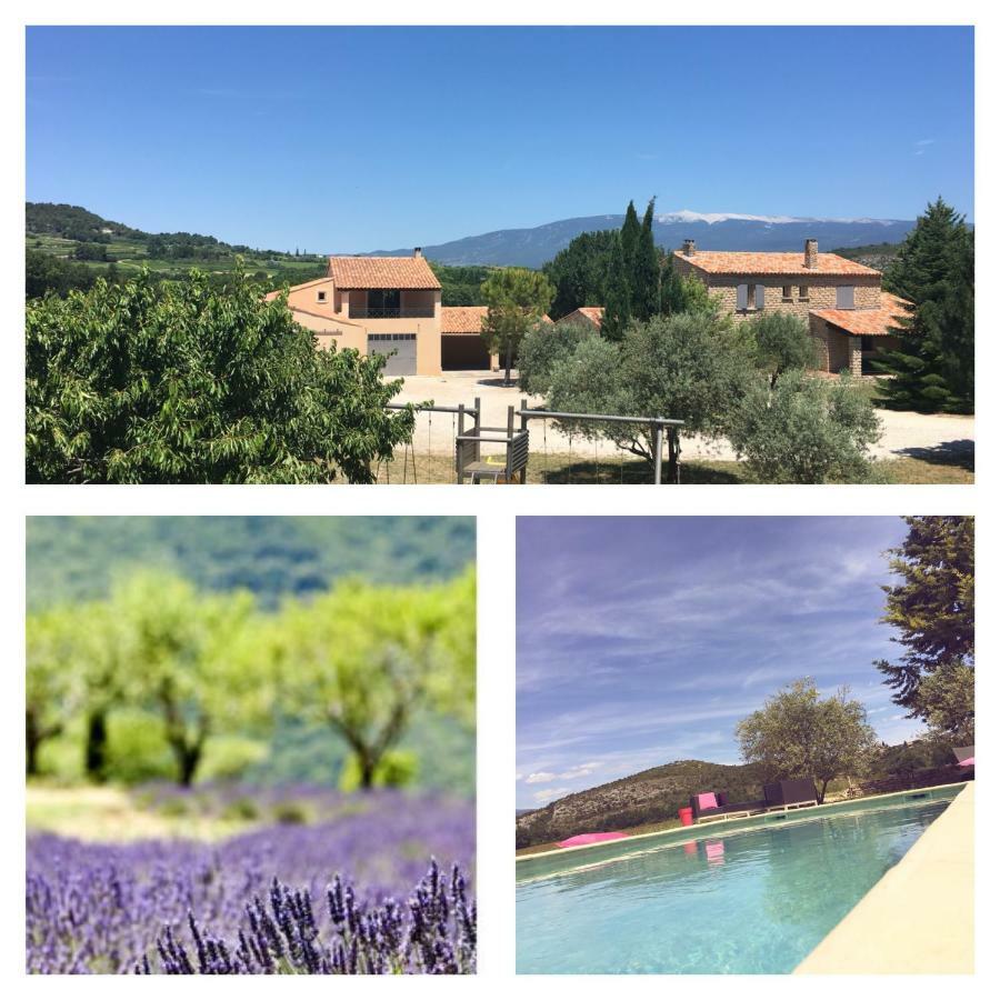Entre Vignes Et Collines * Methamis